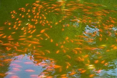 《钢之崛起》Steam国区138元 新演示曝光